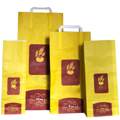 Kantong Kertas Biodegradable 6L 10L Cetak Kustom ISO9001 Untuk Kemasan Kotoran Kucing