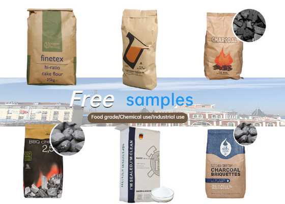 Logo Disesuaikan 25 KG Paper Valve Packing Sack Untuk Kemasan Umum Perekat Ubin