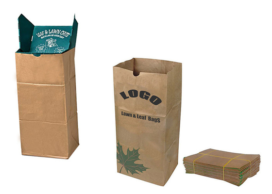 20KG 25kg Whey Protein Bird Feed Seed Kantong Kertas Industri Untuk Kemasan