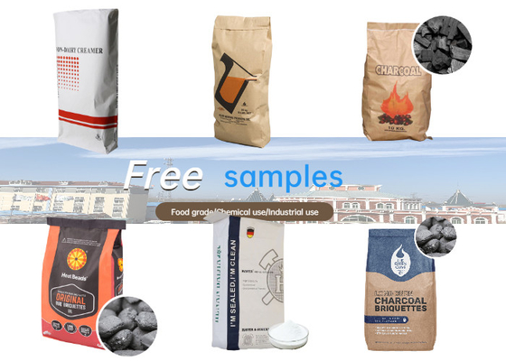 Aliran Sterilitas Terpisah Pe Film Industrial Paper Bags Standar GMP Kustom